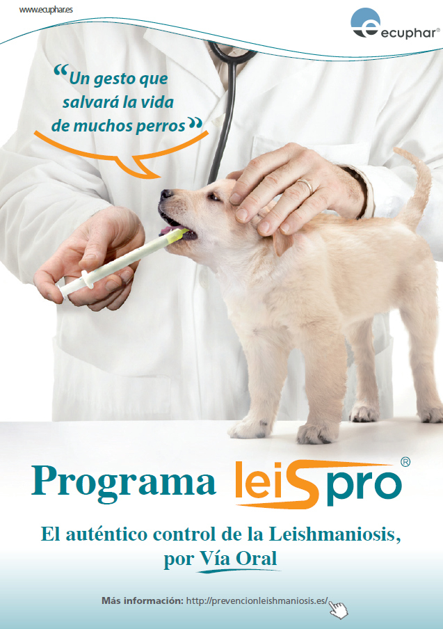 Infecci&oacute; per Leishm&agrave;nia - Prevenci&oacute; de la Leishmaniosi