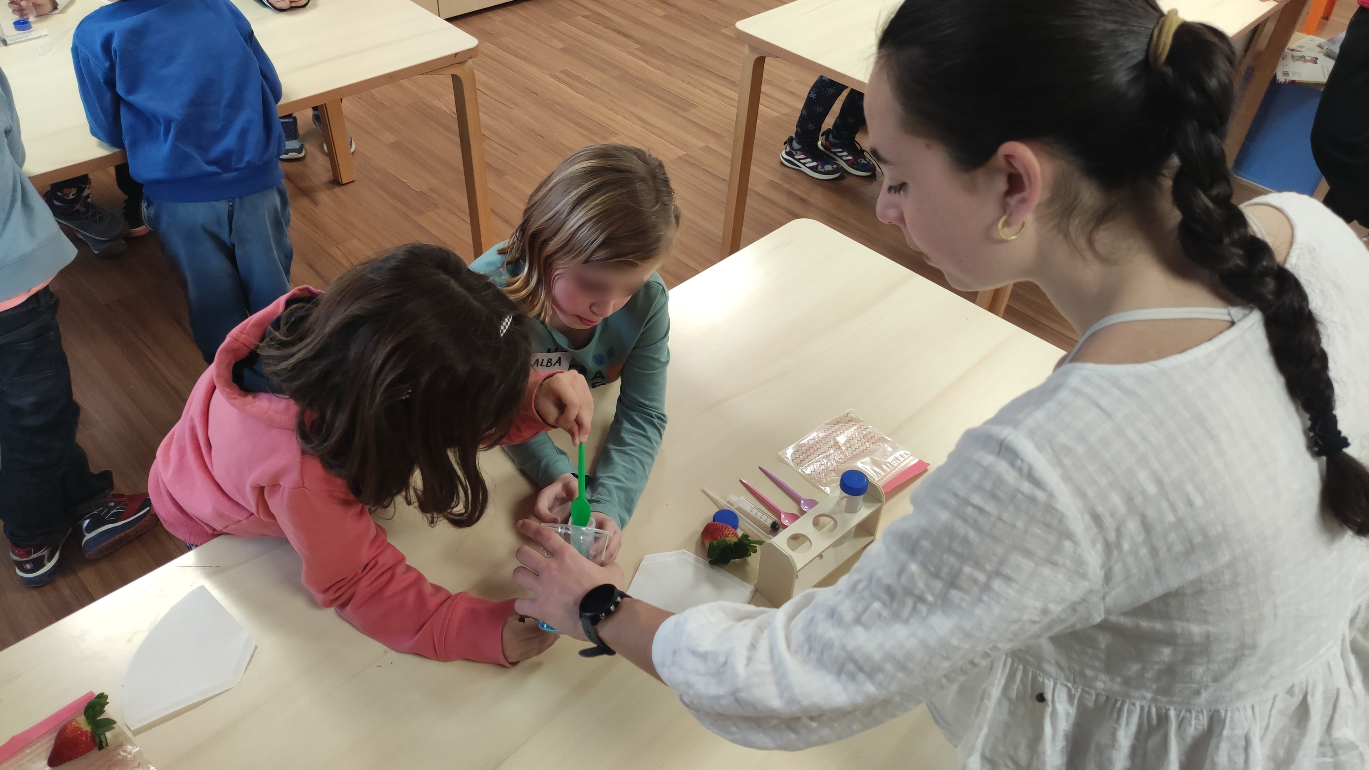 2n taller cient&iacute;fic amb la canalla de Quart on hem extret l'ADN de maduixes!
