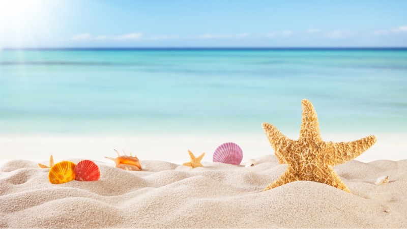 🌴 Tanquem per vacances del 3 al 27 d'agost de 2026