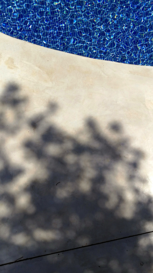 Swimming pod the shadow
