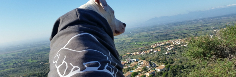Veterin&agrave;ria