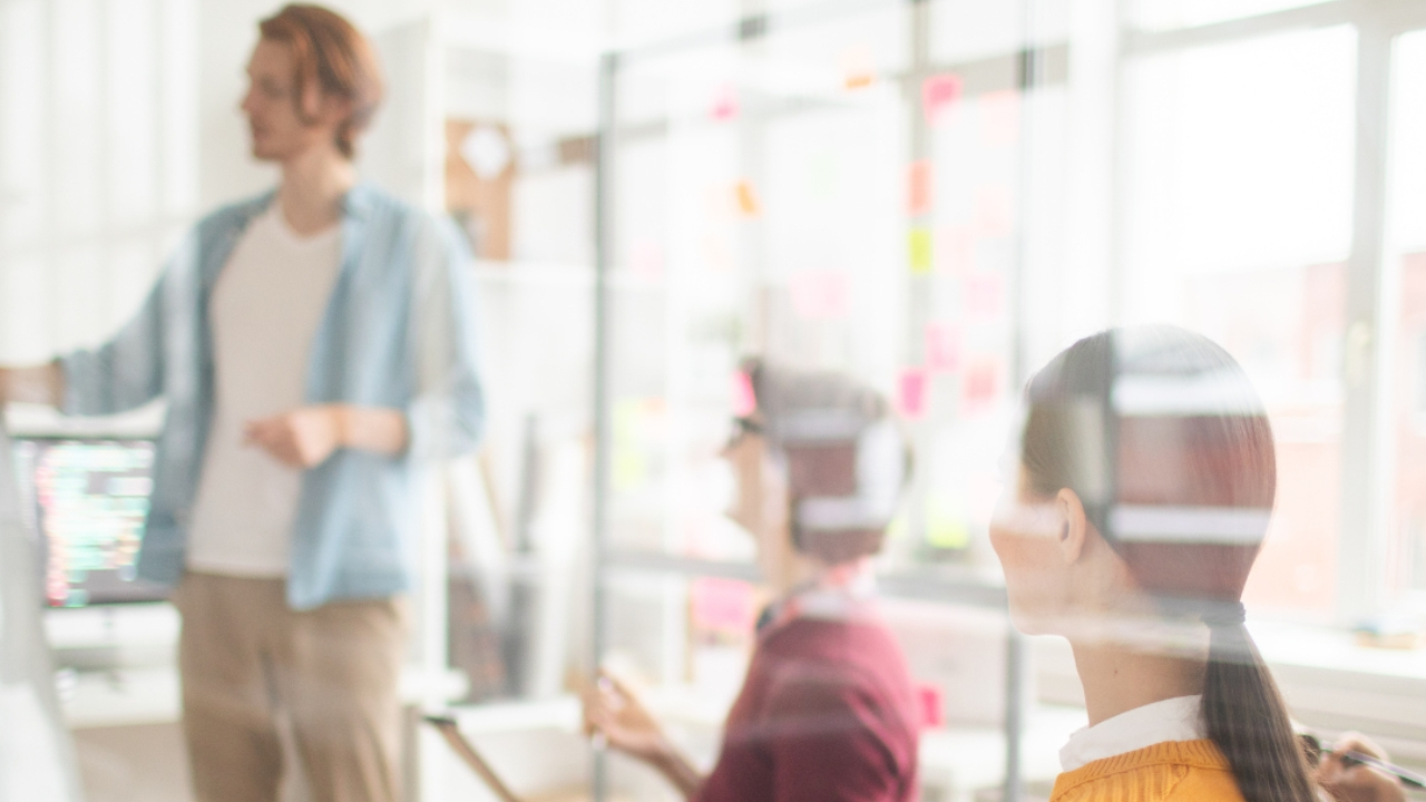 Formaciones / Cursos