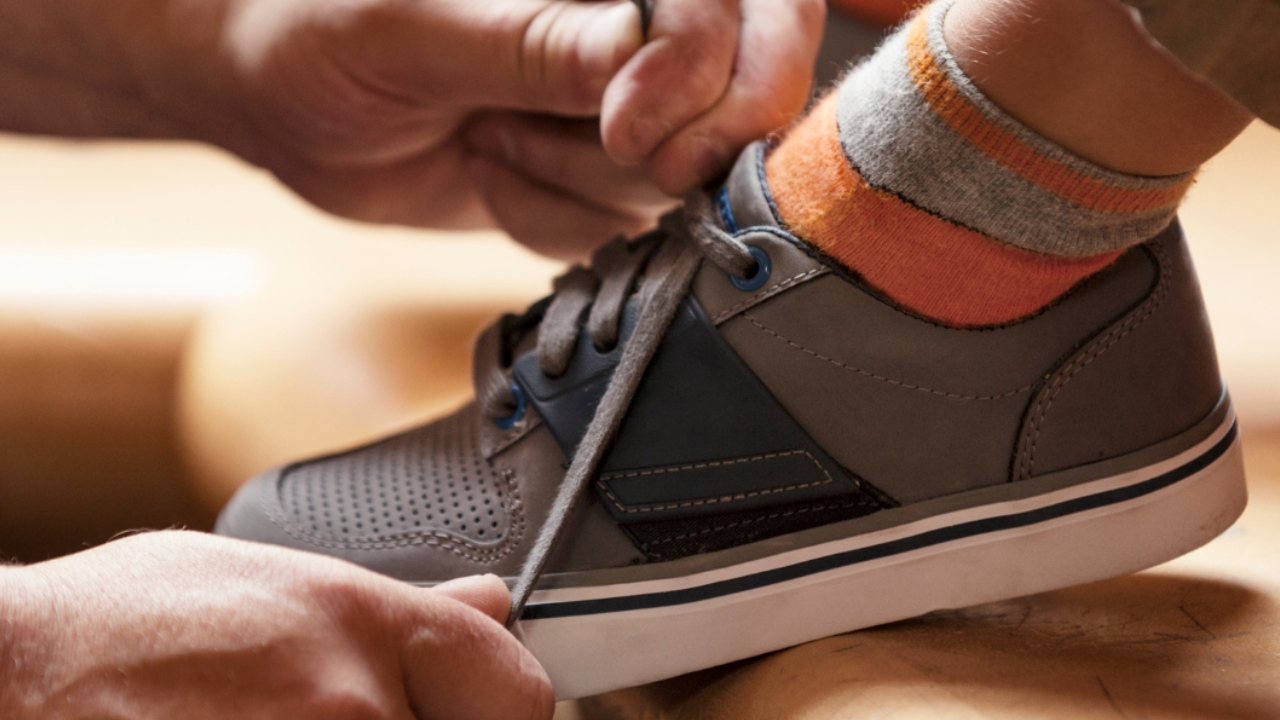  Curso online principiantes