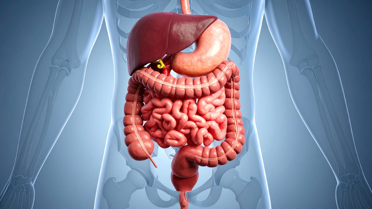 Entero resonancia magn&eacute;tica nuclear