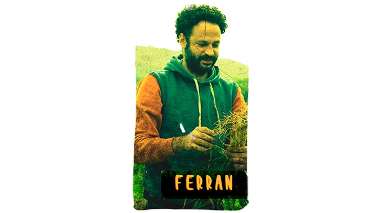  Ferran Solanes